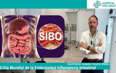 ¿Qué es el SIBO y cómo saber si lo tienes?